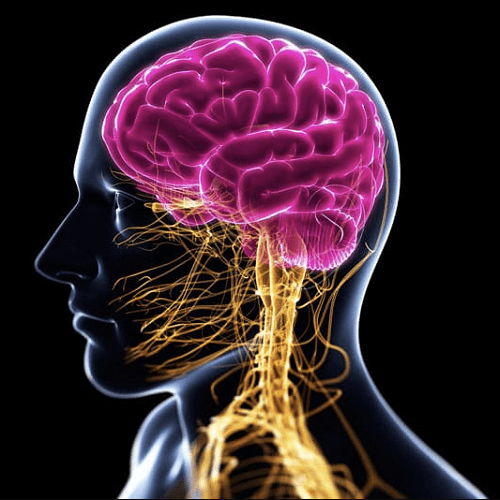 1642486785168-png.48818 1642486785168-png.48818