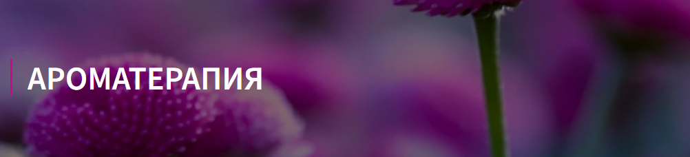 1644558987862-png.49395 1644558987862-png.49395