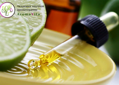 1644920925056-png.49474 1644920925056-png.49474