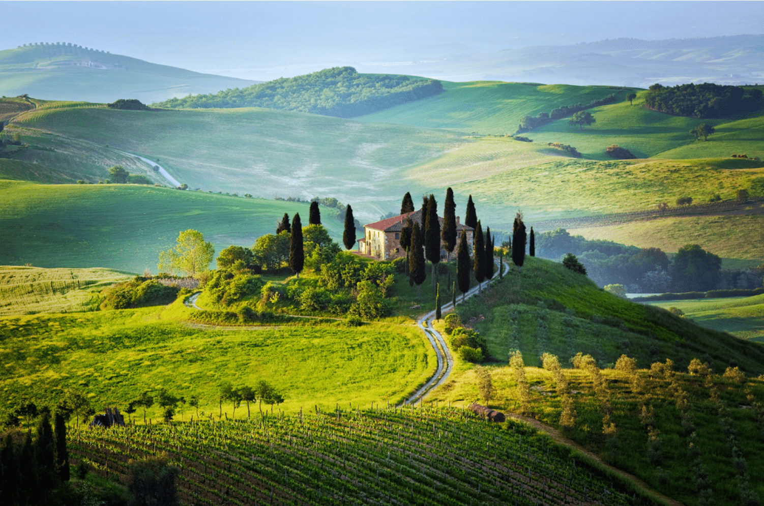 1722529238361-png.57052