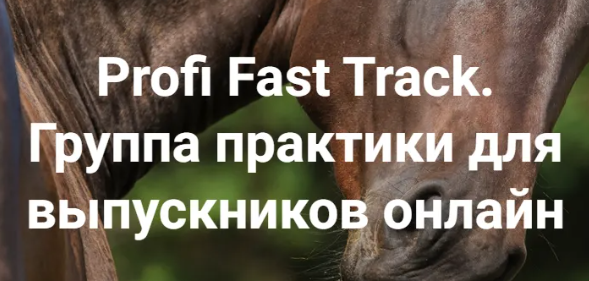 2024-07-31_18-17-02-png.57037