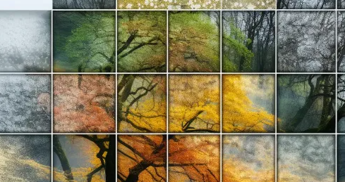 2024-08-23_11-19-09-png.57219