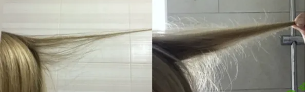 2025-03-19_10-55-38-png.59840