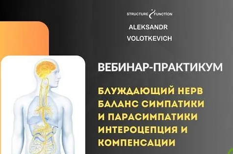 2025-05-15_09-36-31-png.61194