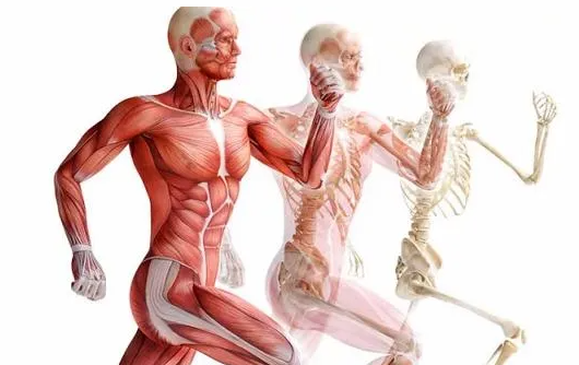 2025-05-17_11-47-55-png.61271