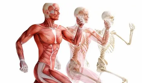 2025-05-23_11-40-29-png.61399