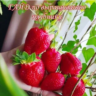 2025-06-19_11-35-57-png.61907