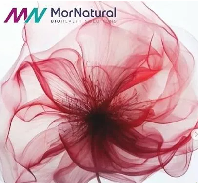 2025-07-09_12-38-11-png.62277