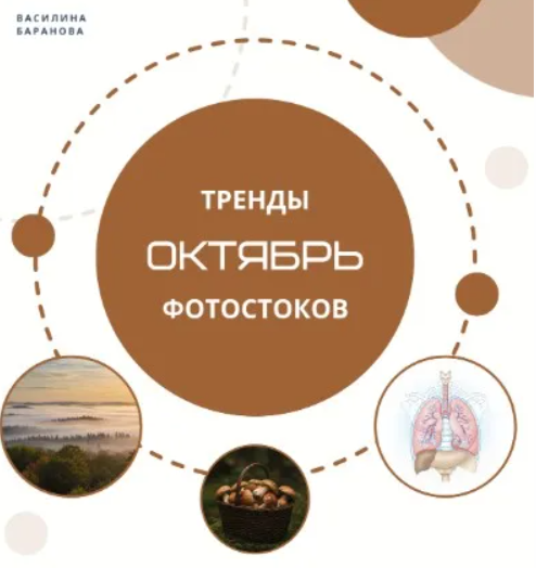 2025-11-12_09-17-49-png.64177