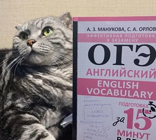 2025-11-16_15-59-12-png.64218