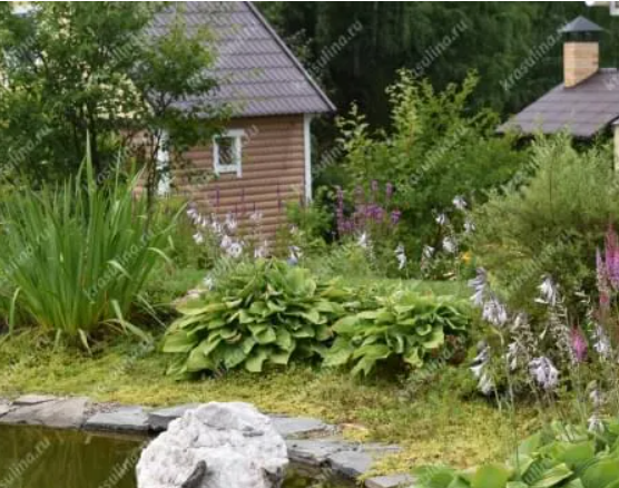 2025-11-19_09-45-52-png.64276