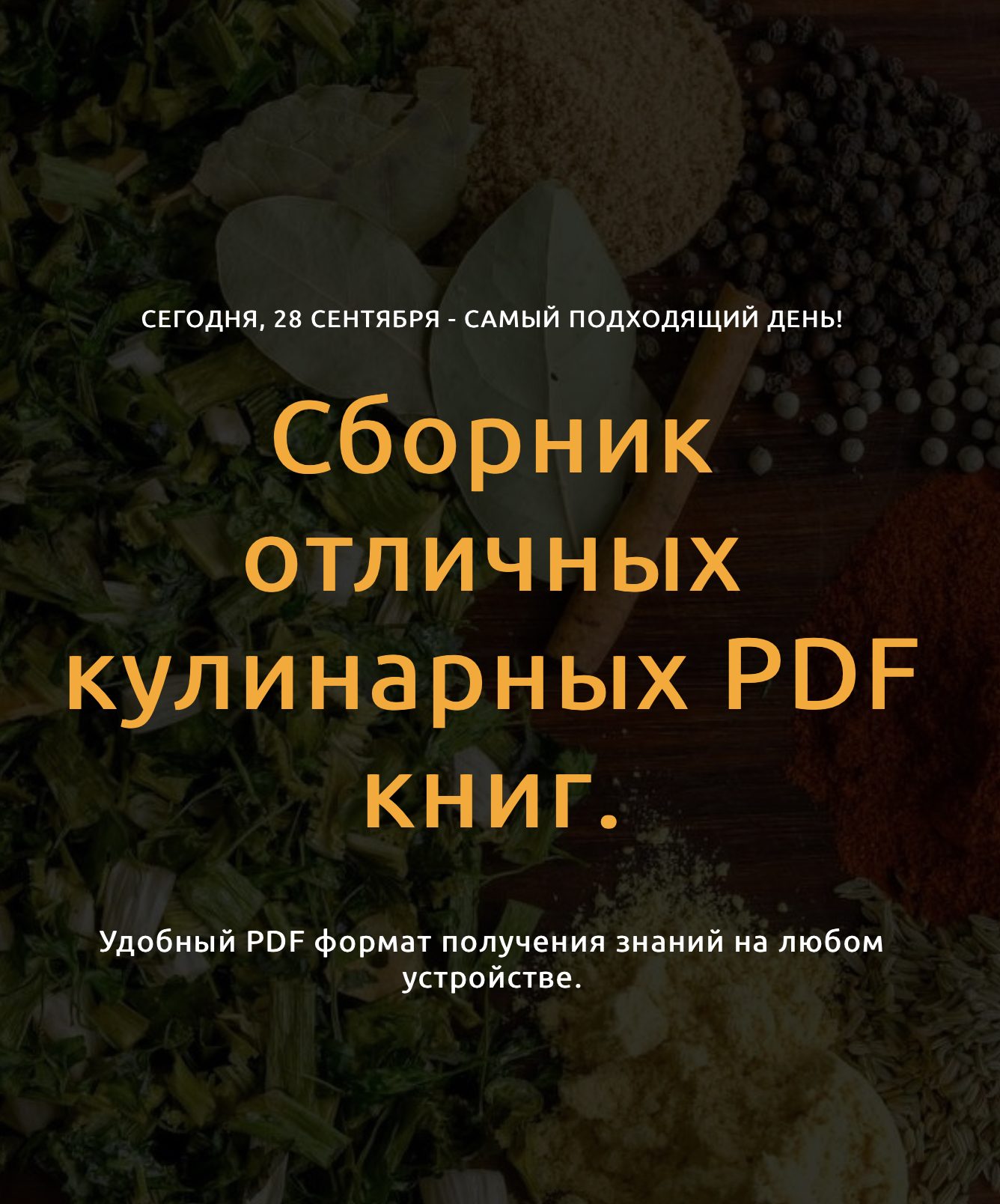 90aed8ea-1944-462d-bebe-f85c5eaf2e59-jpeg.51966